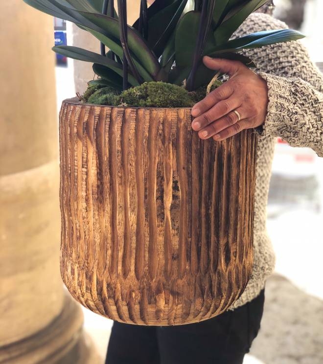 Plante fleurie d'orchidée phalaenopsis rose vif dans un cache-pot